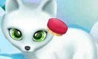 Arctic Animal Dress-Up Designer
