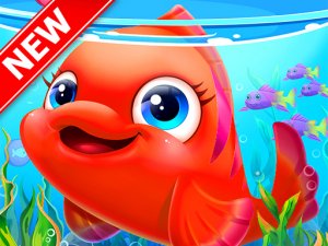 Seaside Catch Explorer