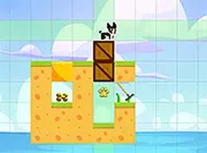 Canine Conundrum: Box Puzzles