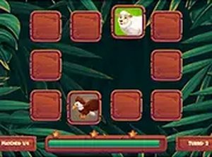 Matching Animal Cards Challenge